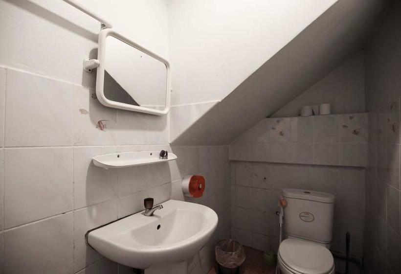 הוסטל Backpacker Social Experience