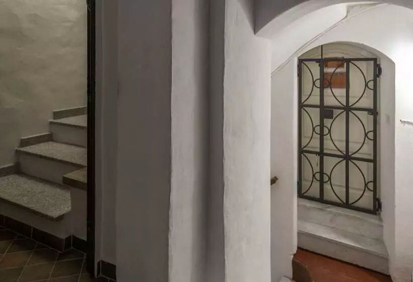Amsicora 8