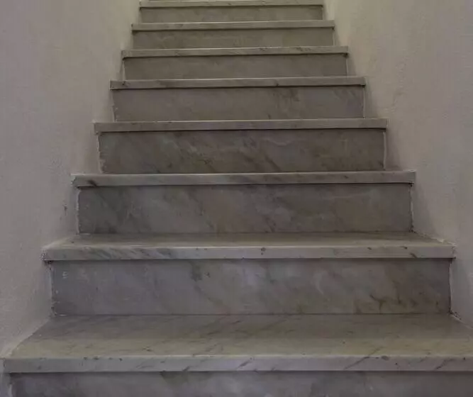 Amsicora 8