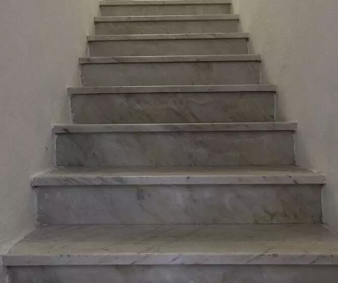 Amsicora 8