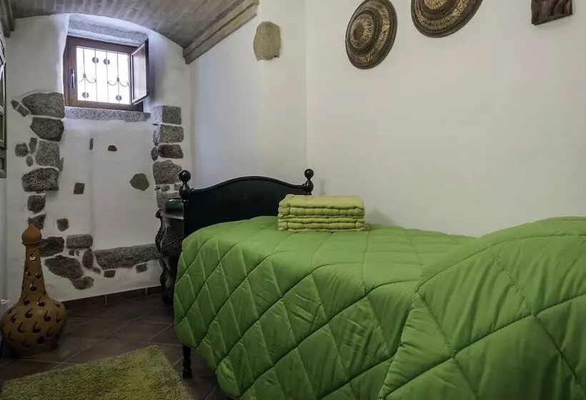 Amsicora 8