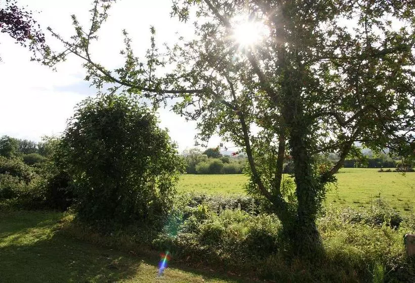 Ashgrove B&b
