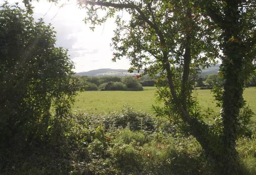 Ashgrove B&b