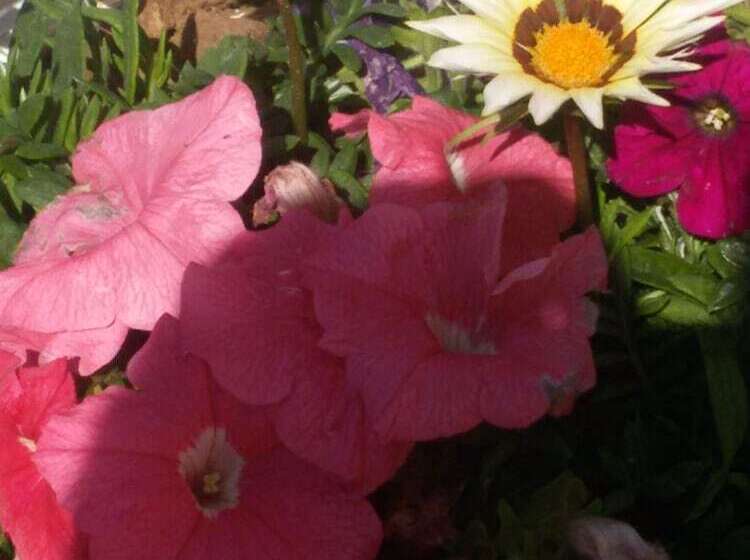 Flokkas Hotel Apartments