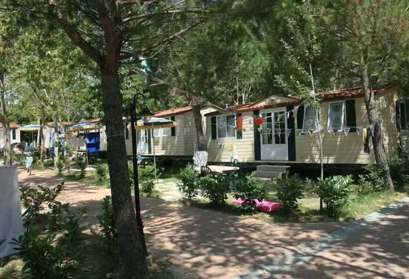 ホテル Camping Badiaccia Village