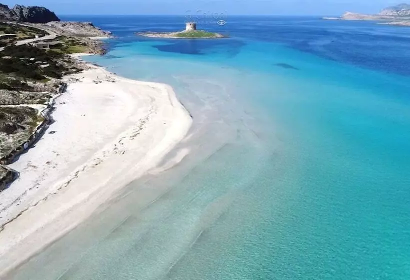 هتل Bellamarina Resort