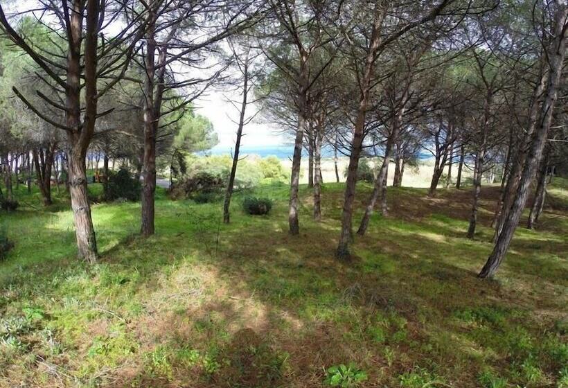 בית מלון כפרי Bellamarina Resort