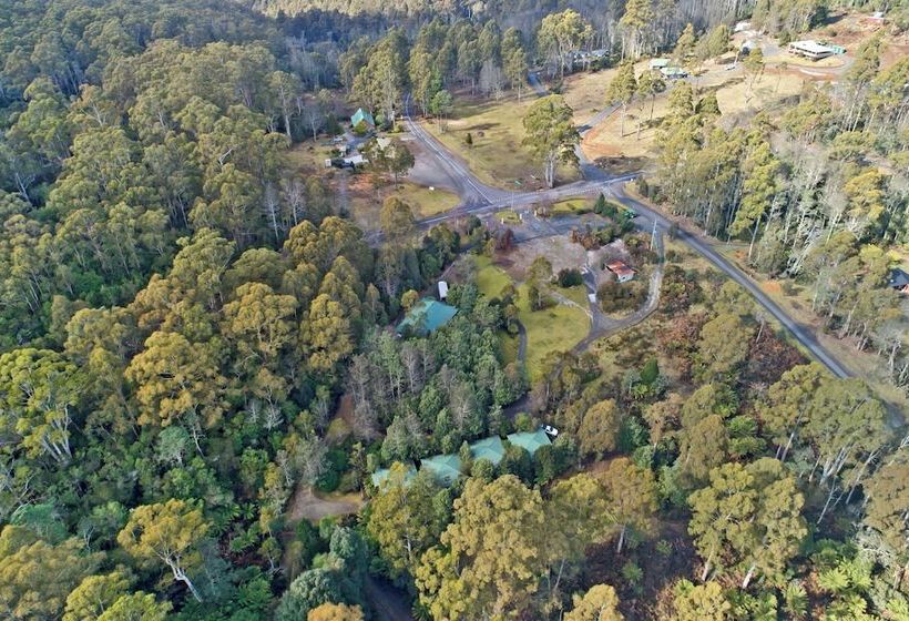 호텔 Cradle Forest Inn