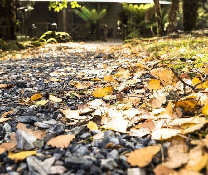 호텔 Cradle Forest Inn