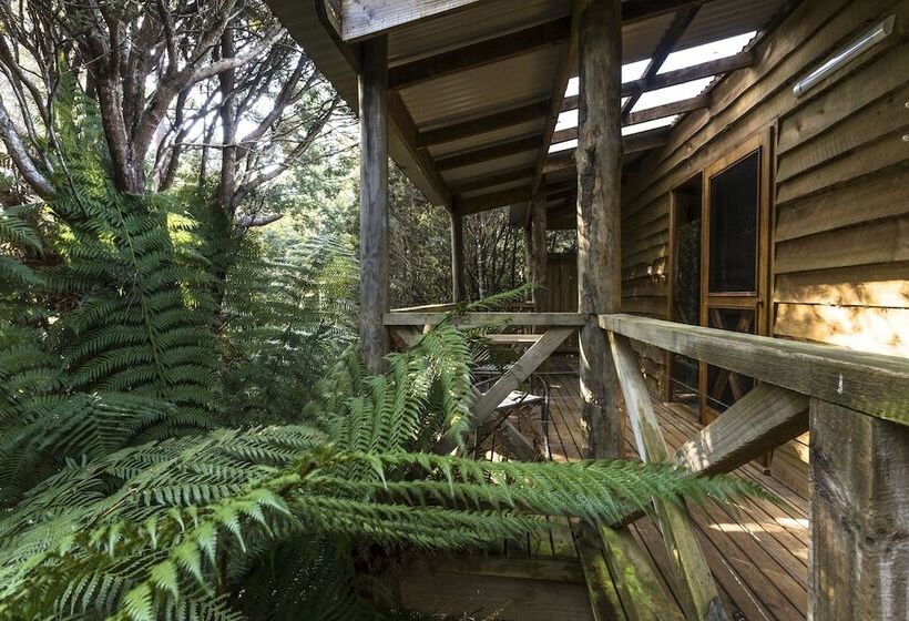 호텔 Cradle Forest Inn