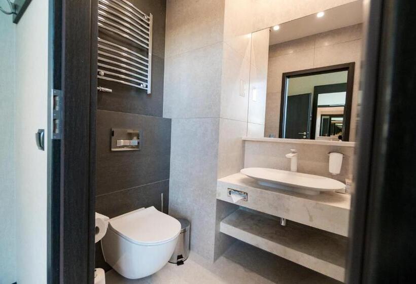 Отель Holiday Inn Dąbrowa Górnicza Katowice, An Ihg