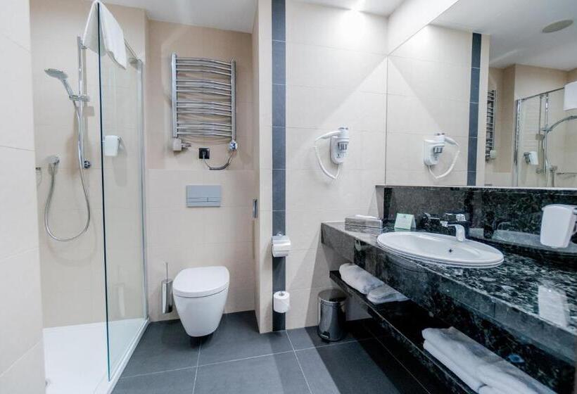 Отель Holiday Inn Dąbrowa Górnicza Katowice, An Ihg