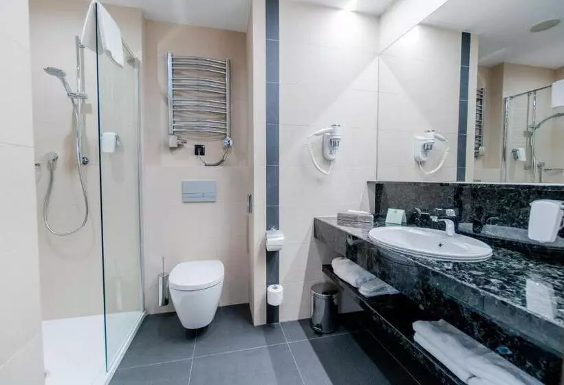 ホテル Holiday Inn Dąbrowa Górnicza Katowice, An Ihg