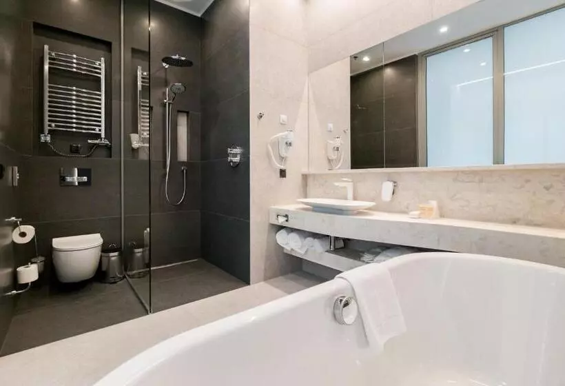 ホテル Holiday Inn Dąbrowa Górnicza Katowice, An Ihg