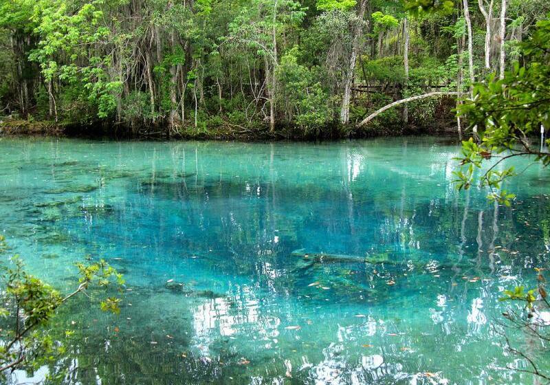 ホテル Holiday Inn Express & Suites Trinity, An Ihg