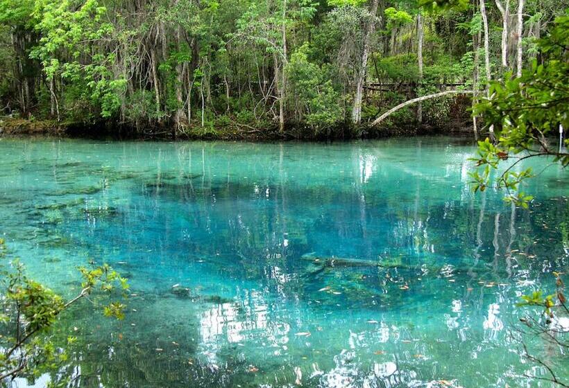 ホテル Holiday Inn Express & Suites Trinity, An Ihg