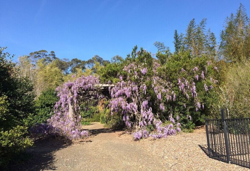 فندق Mescal S At Pampoolah B&b