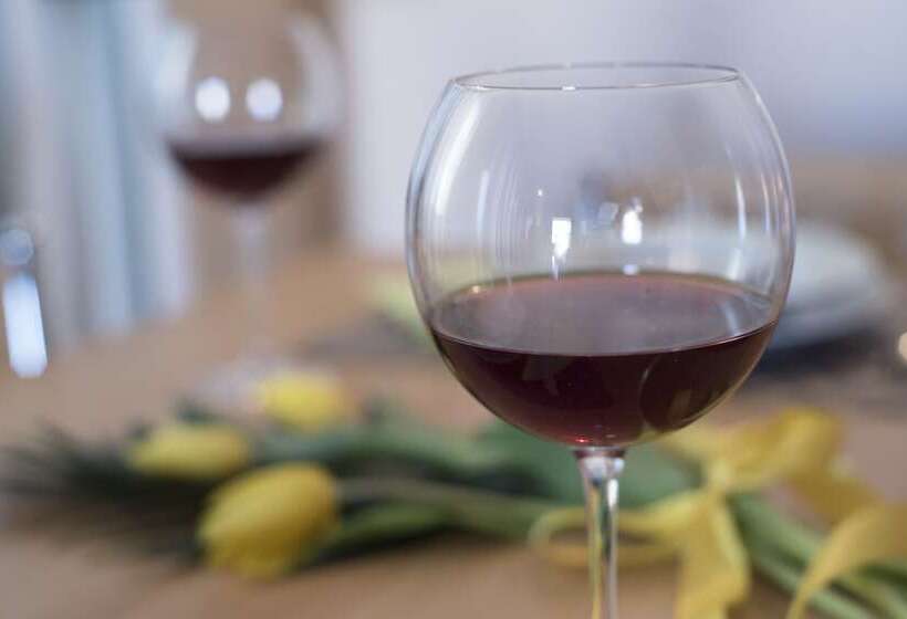 ホテル Villa Theodora