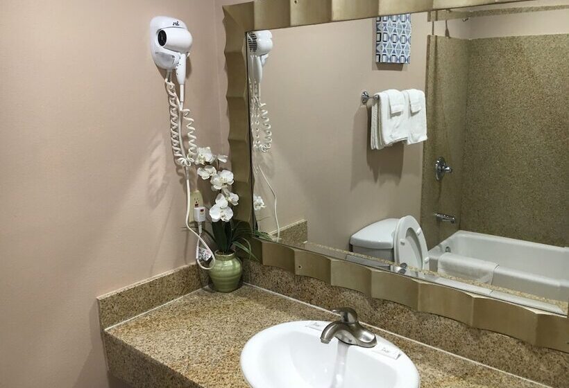 モーテル The Fly Inn