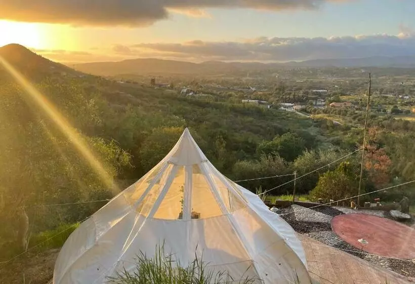 Kapselihotelli Indigo Glamping