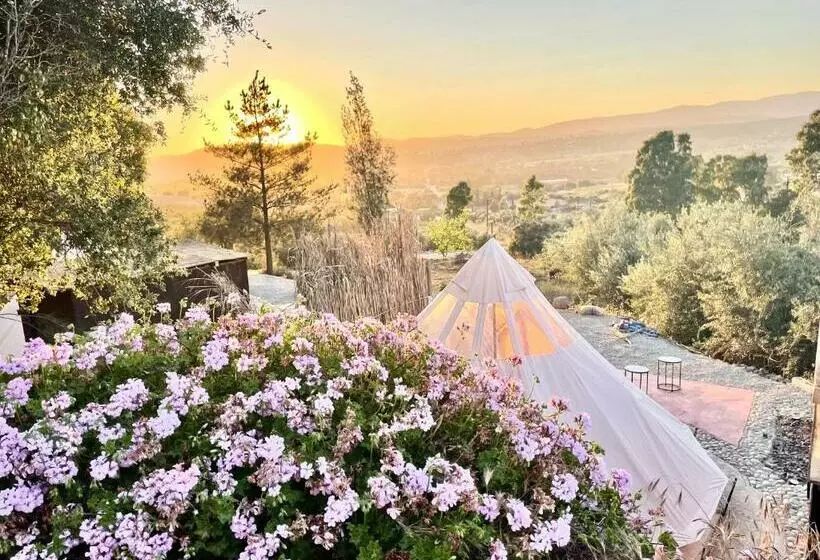 Kapselihotelli Indigo Glamping