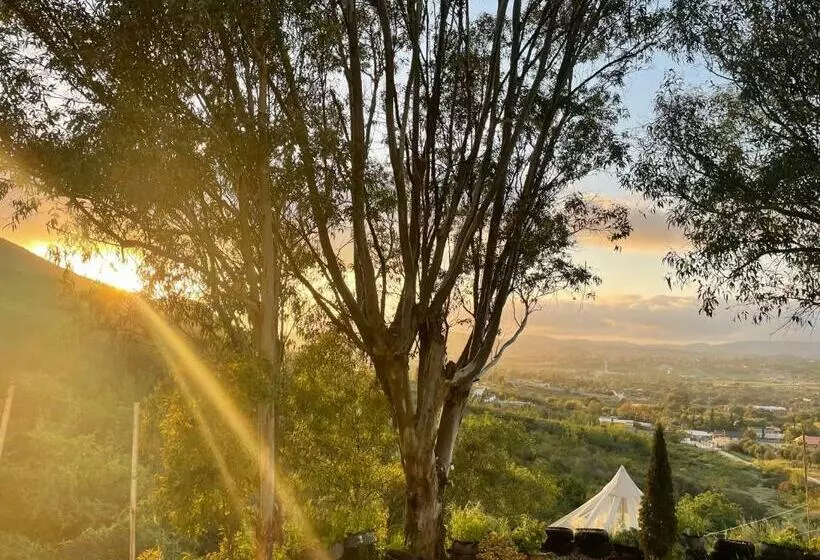 Kapselihotelli Indigo Glamping