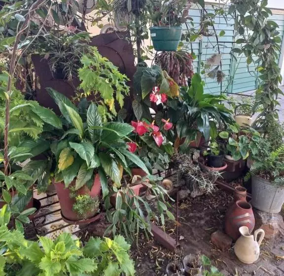 پانسیون Eloff S Guest House