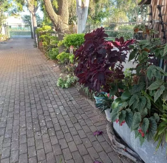 پانسیون Eloff S Guest House