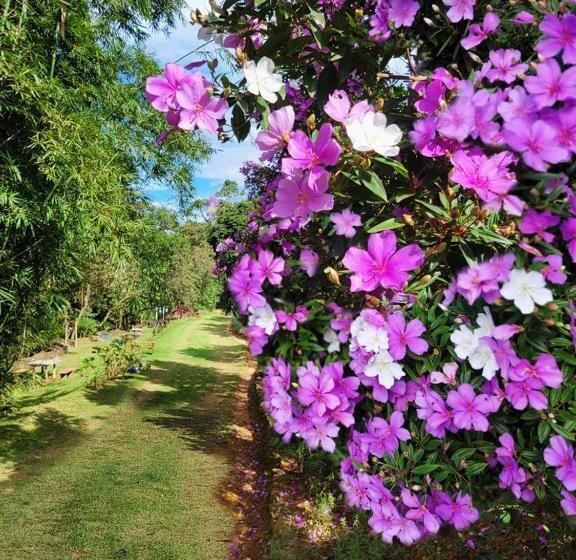 هتل Pousada Sítio Das Pedras