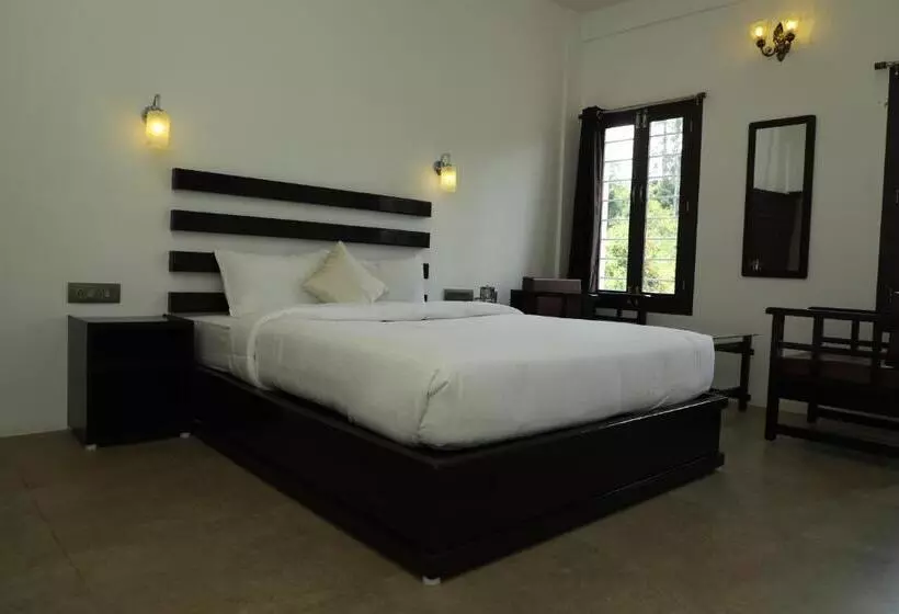 هتل Cactus Inn