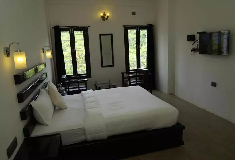 هتل Cactus Inn