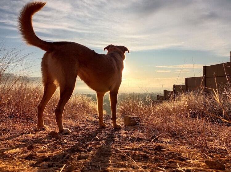 צימר Casa Del Pibe Piola
