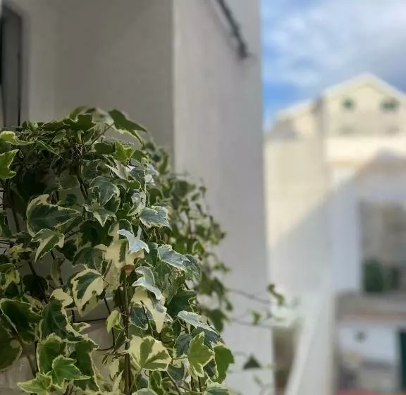 Aamiaismajoitus (B&B) Viesterooms