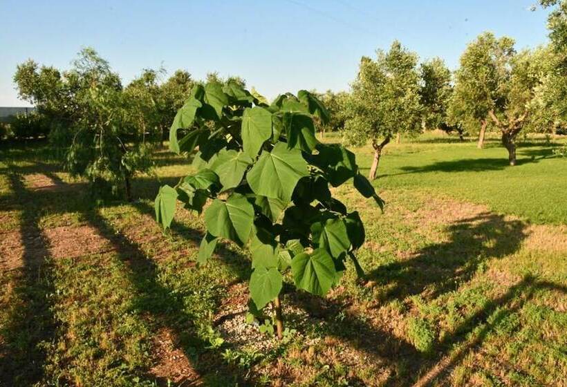 Отель Tenuta Corano Nardò