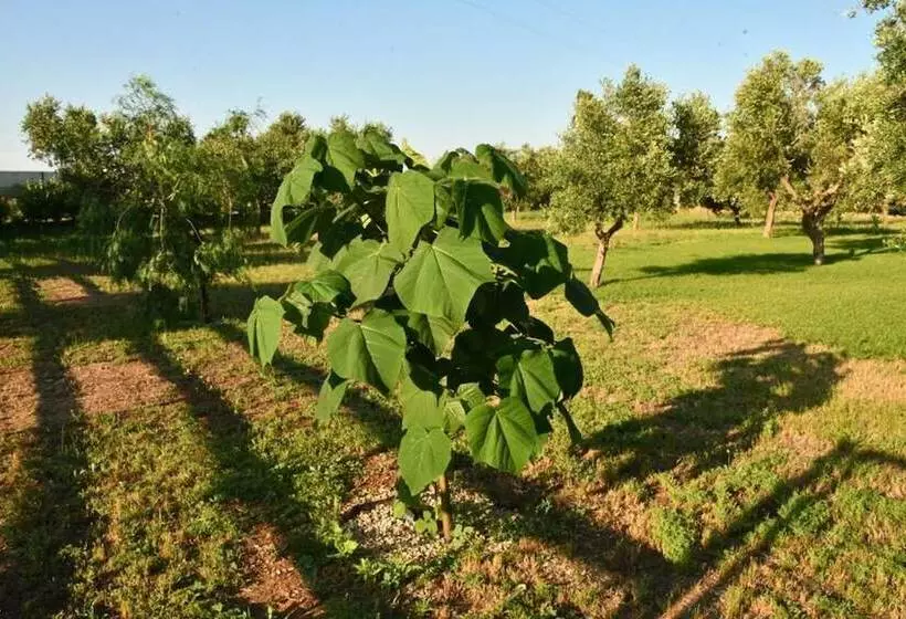 Hotelli Tenuta Corano Nardò