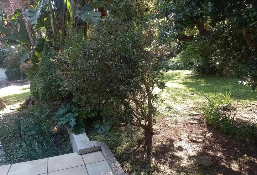 ペンション Ekuphumleni Holistic Healing Center