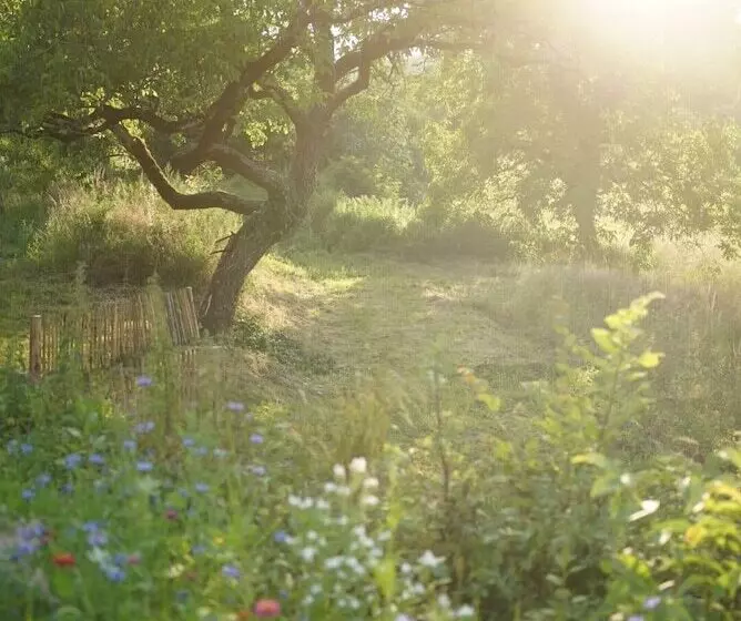 Lomakeskus Maison Lou Piade