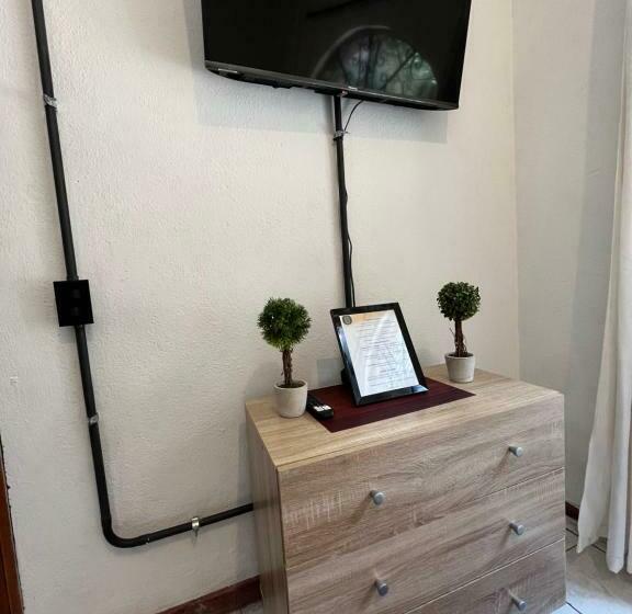 هاستل Stayh Recolecta