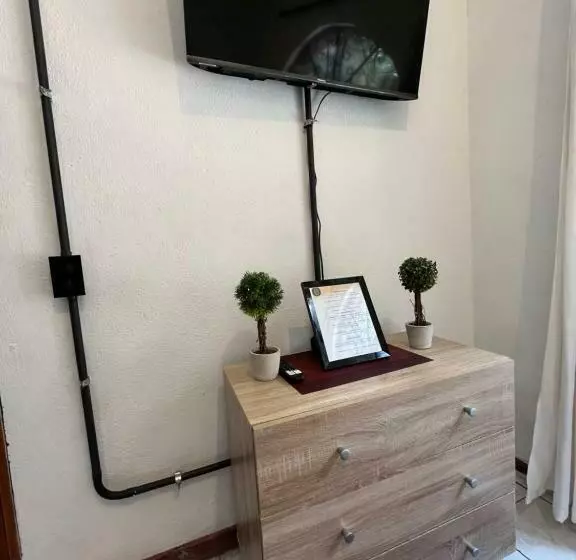 هاستل Stayh Recolecta