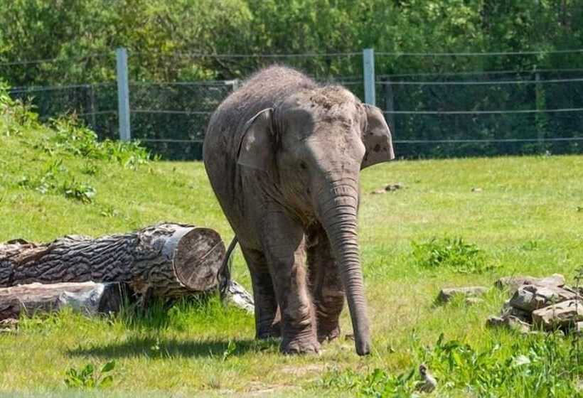 פנסיון Harriette S Guest House