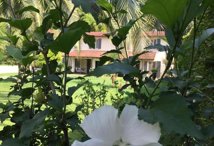 پانسیون Spazio D Arte Relais