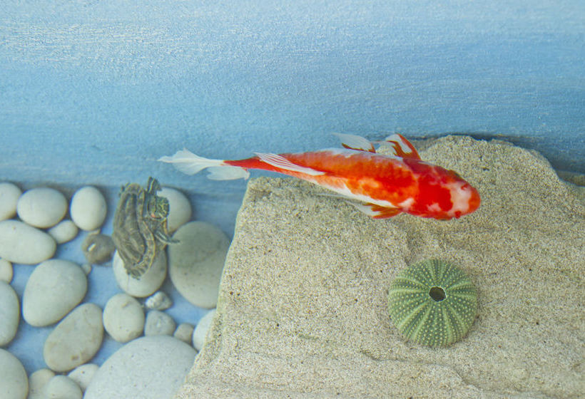 Palacio Balangan Villa