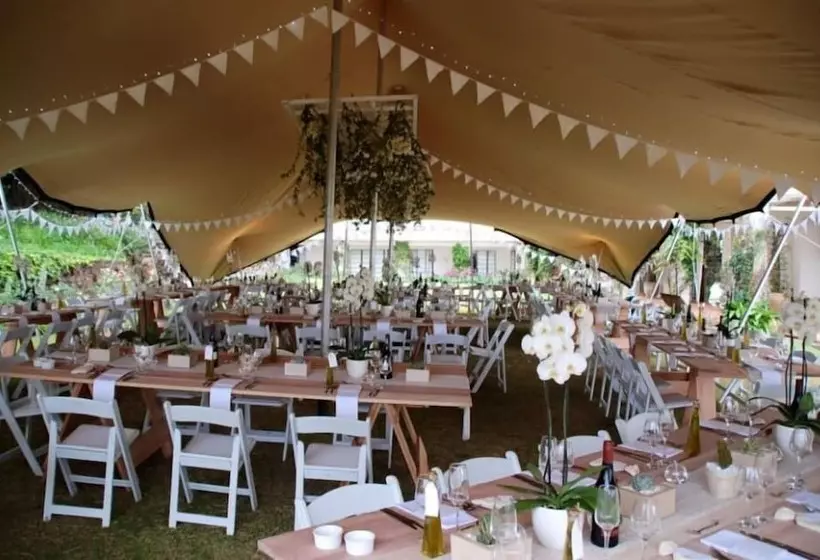 تختخواب و صبحانه Kings Walden Garden Manor