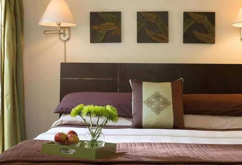 Casa De Suenos B & B