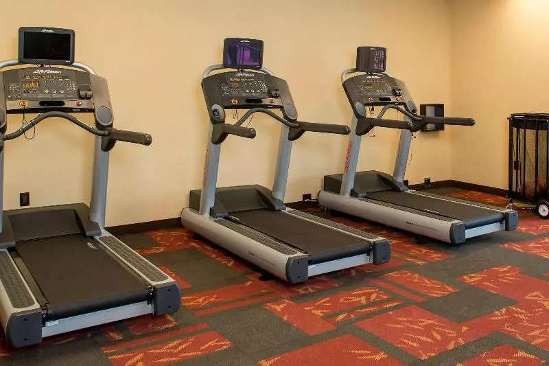 ホテル Courtyard By Marriott Dallas Midlothian At Midlothian Conference Center