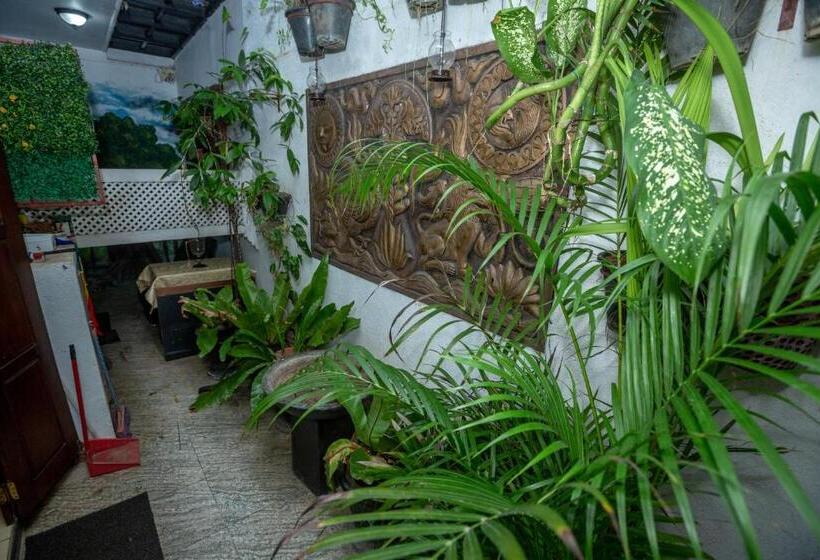 בית מלון כפרי Fort Thari Inn