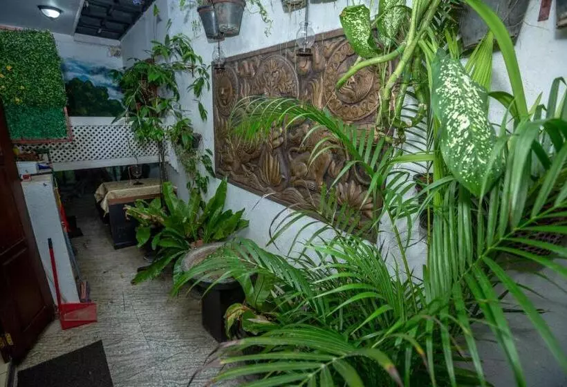 ホテル Fort Thari Inn