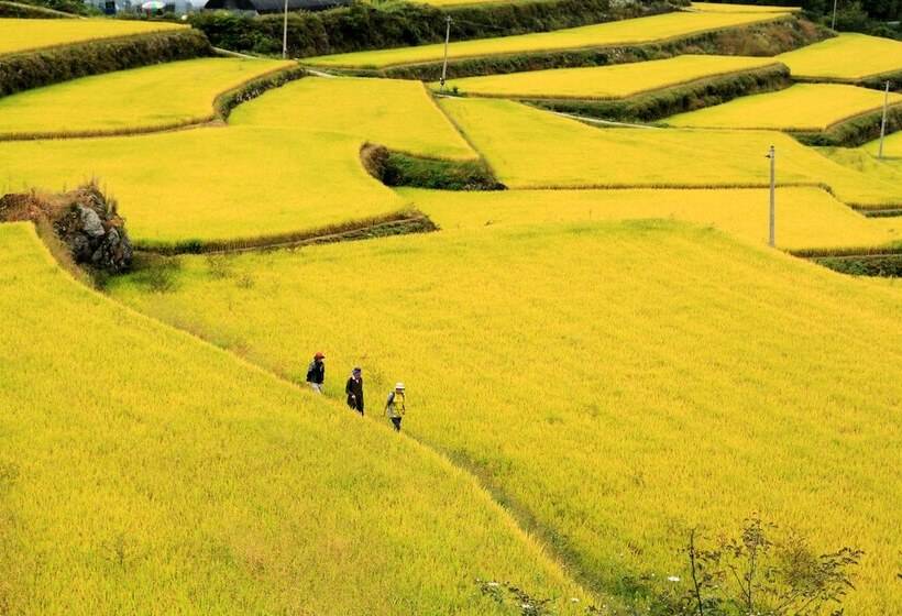 호텔 Kensingtonresort Jirisannamwon