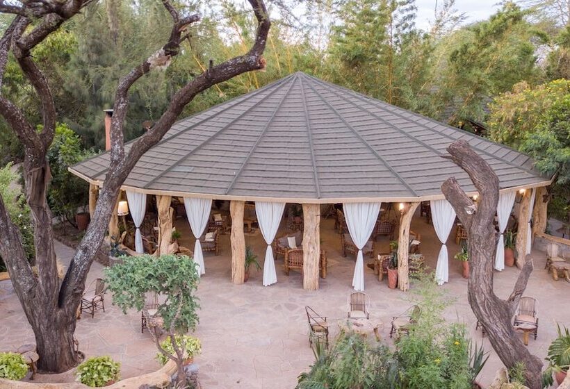 هتل Kibo Safari Camp