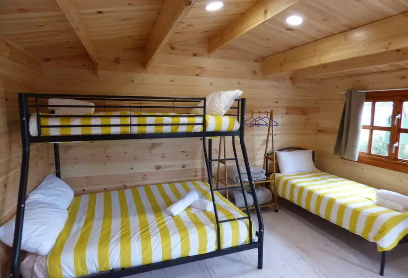 ホテル Tenterfield Lodge Caravan Park